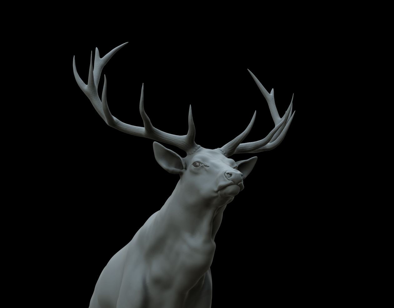 Creating a stag